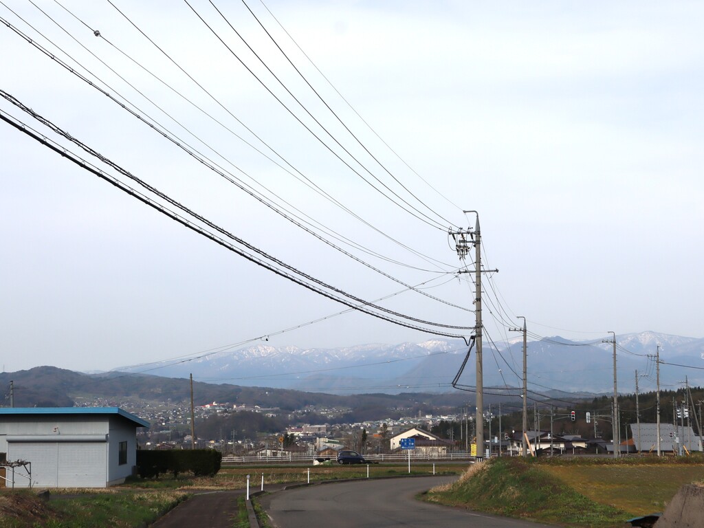 IMG_4437.JPG